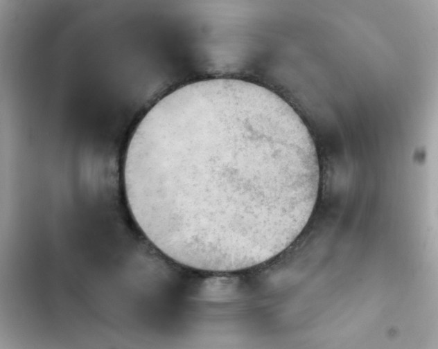 X0000103950700200809191441