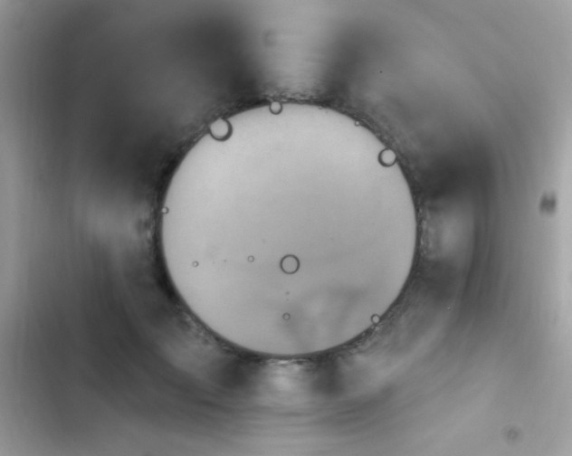 X0000103950701200809191441