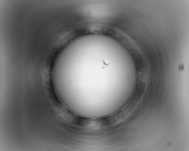 X0000103950702200809191441
