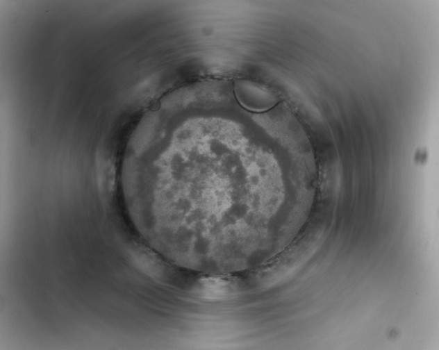 X0000103950703200809191441