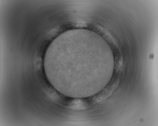 X0000103950704200809191441