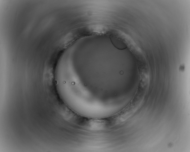 X0000103950707200809191441