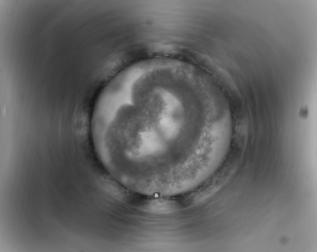 X0000103950708200809191441