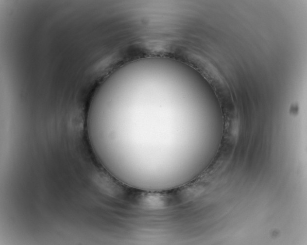 X0000103950710200809191441