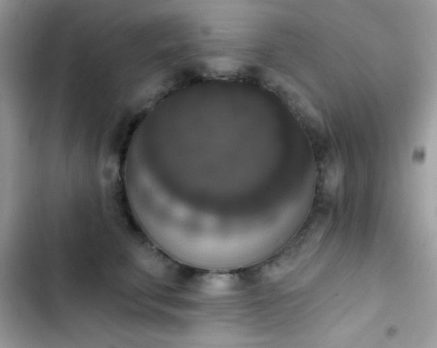X0000103950711200809191441