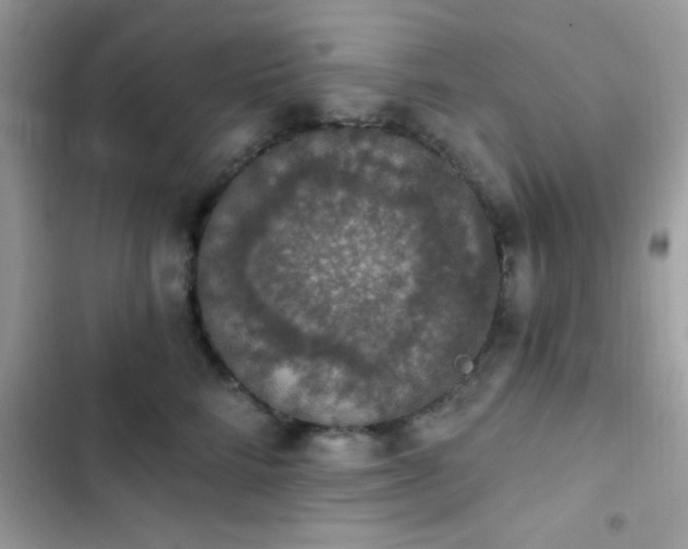 X0000103950712200809191441