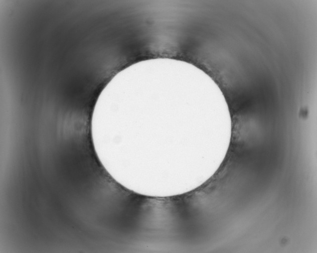 X0000103950713200809191441