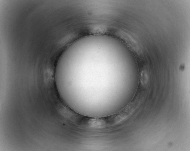 X0000103950714200809191441