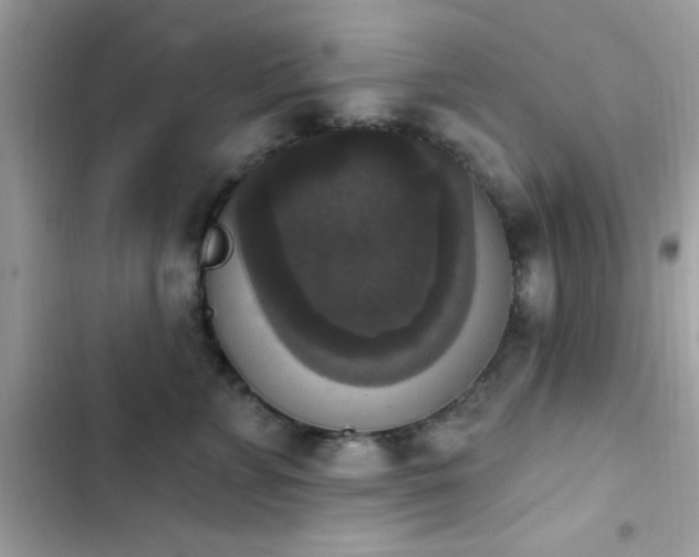 X0000103950715200809191441
