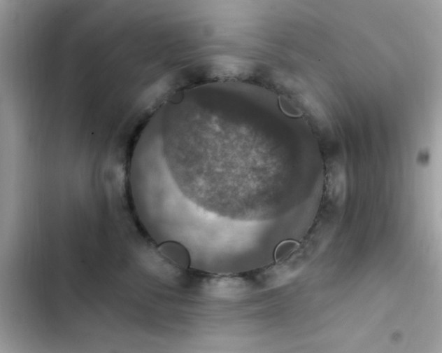 X0000103950716200809191441