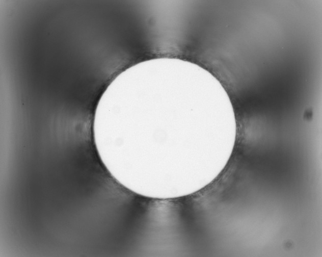 X0000103950717200809191441