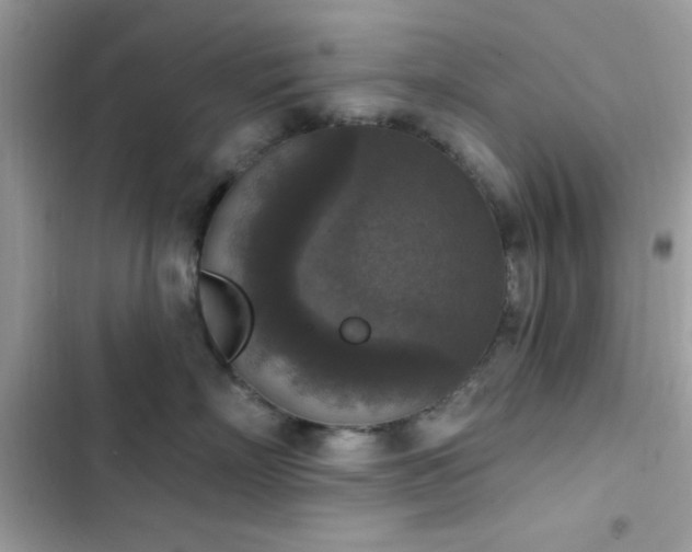 X0000103950718200809191441