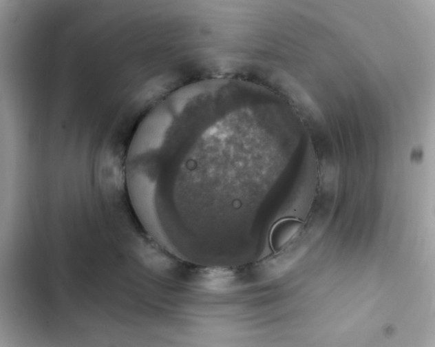 X0000103950719200809191441
