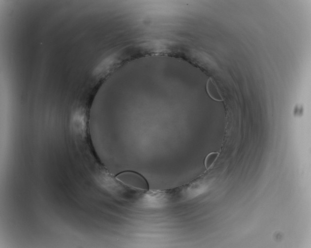 X0000103950720200809191441