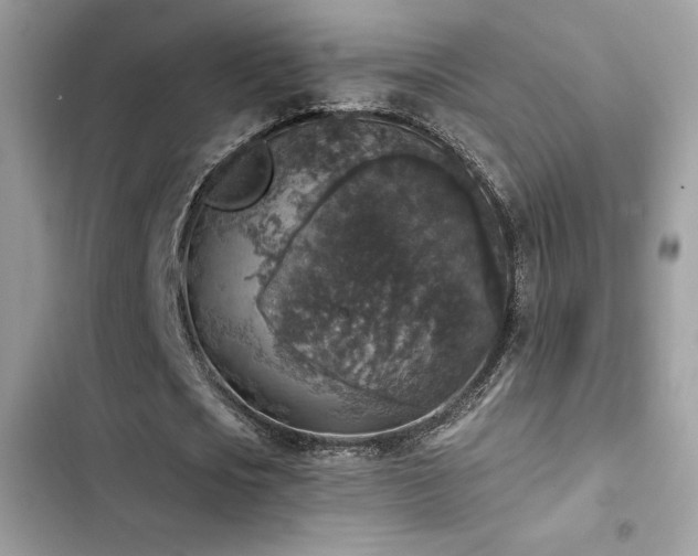 X0000103950721200809191440