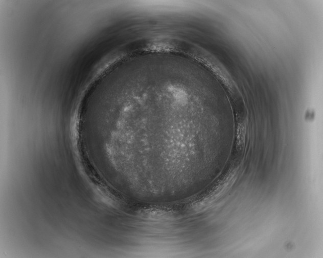 X0000103950722200809191440