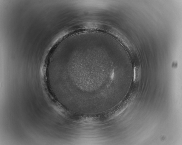 X0000103950723200809191440
