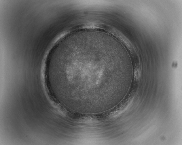 X0000103950724200809191440