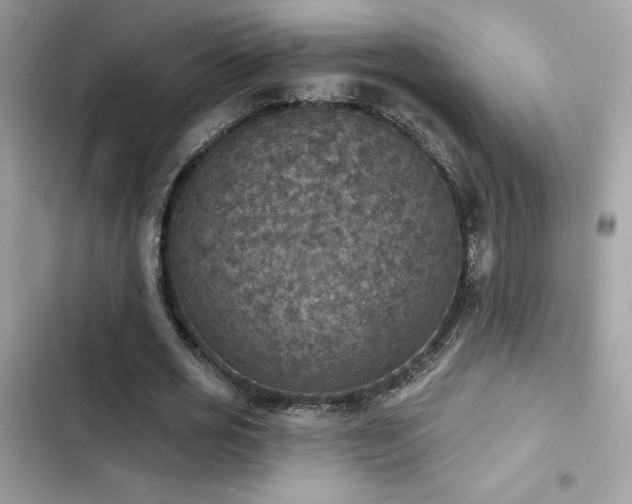 X0000103950725200809191440