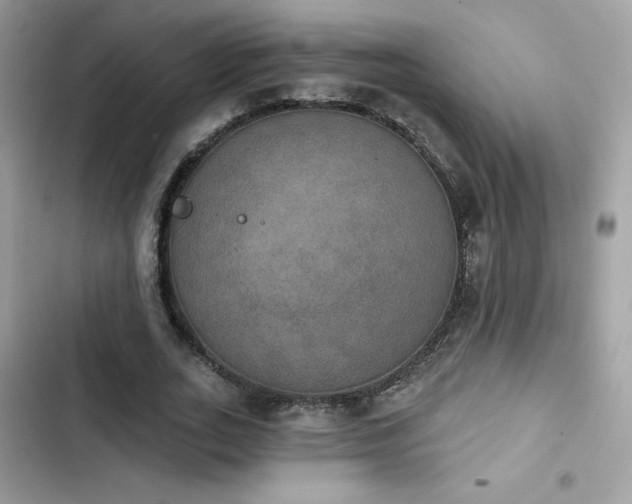 X0000103950727200809191440