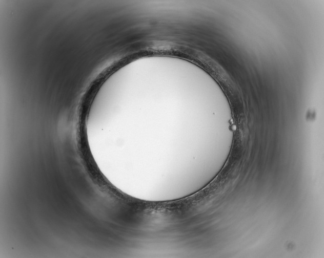 X0000103950728200809191440