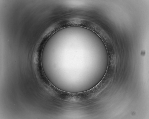 X0000103950731200809191440