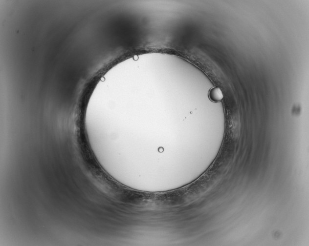X0000103950732200809191440