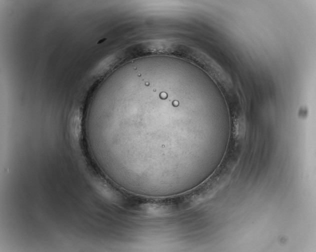 X0000103950733200809191440