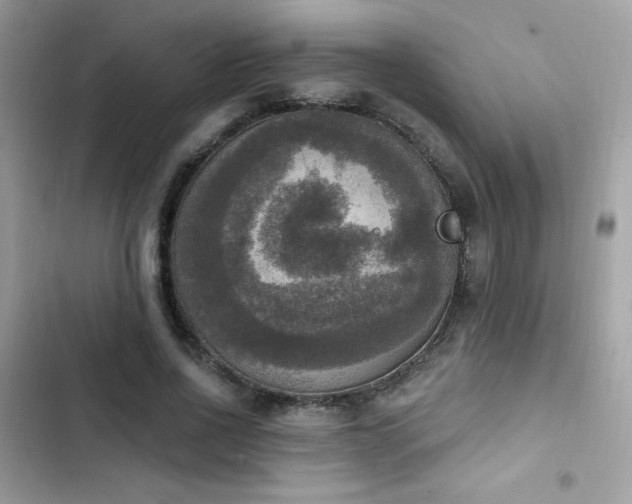 X0000103950734200809191440