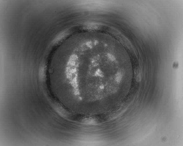 X0000103950735200809191440