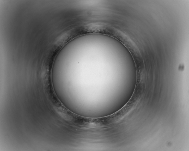 X0000103950737200809191440