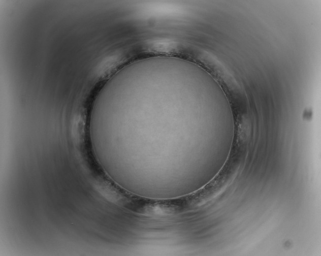 X0000103950739200809191440