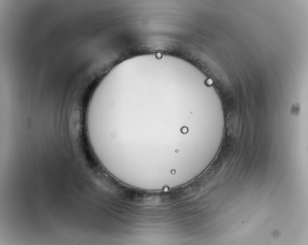 X0000103950740200809191440
