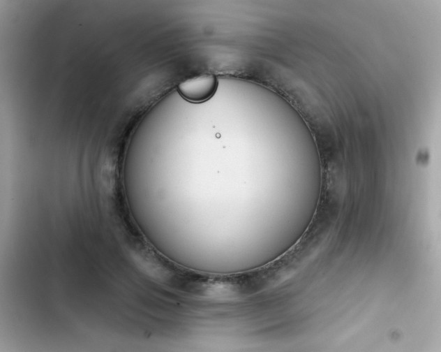 X0000103950741200809191440