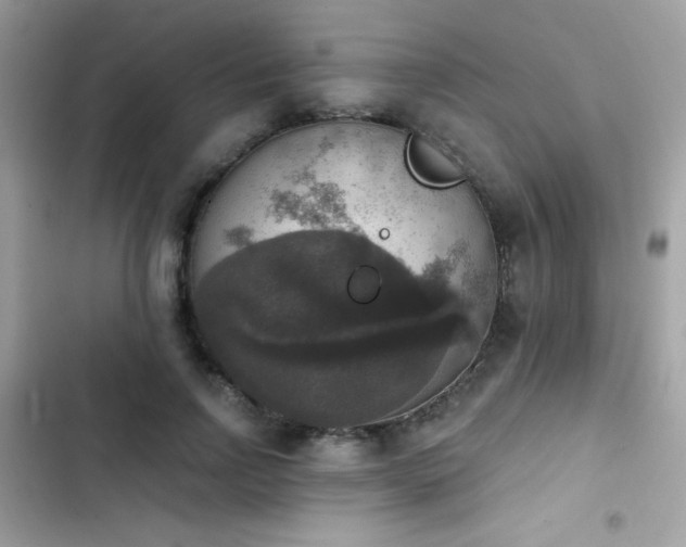 X0000103950742200809191440