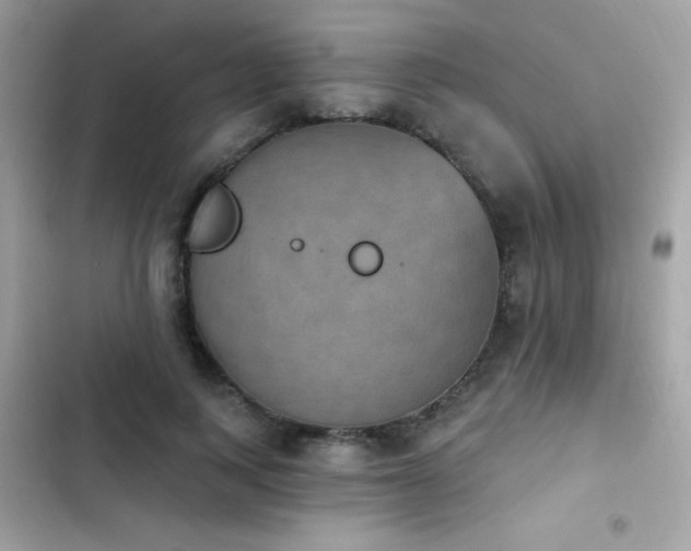 X0000103950743200809191440
