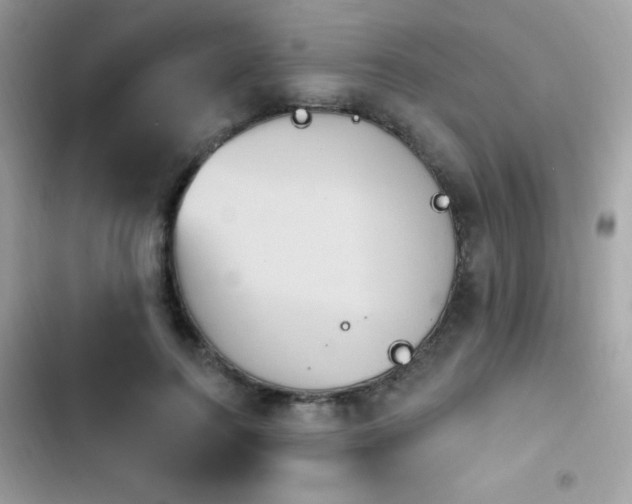 X0000103950744200809191440