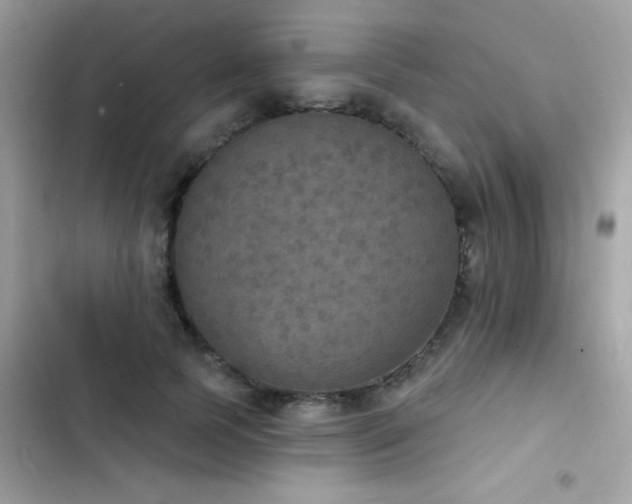 X0000103950745200809191440