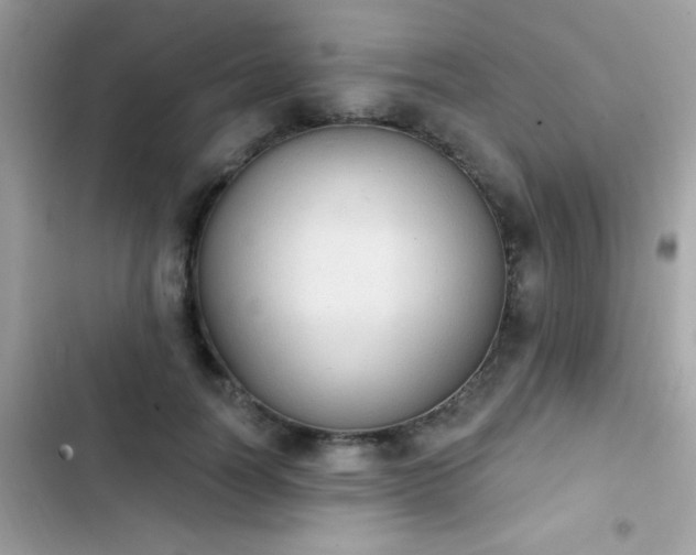 X0000103950746200809191440