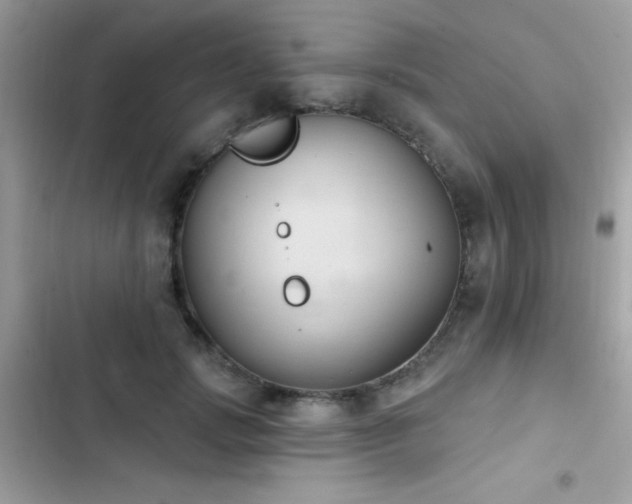 X0000103950749200809191440