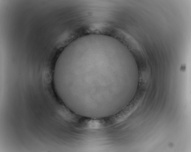 X0000103950751200809191440