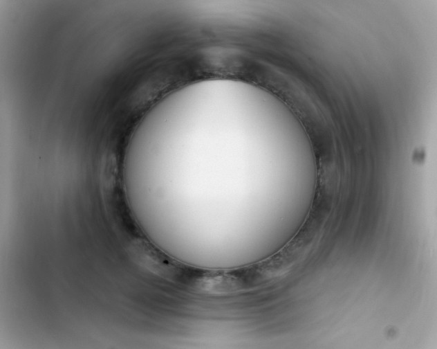 X0000103950752200809191440