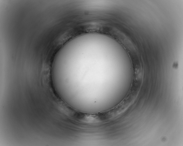 X0000103950753200809191440