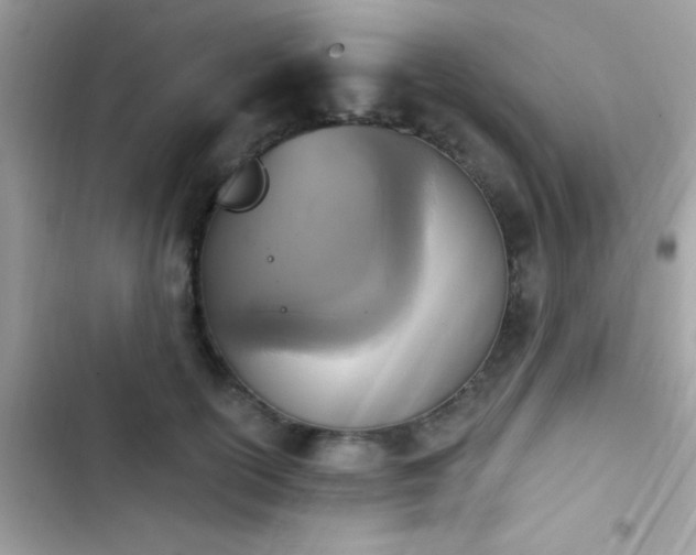 X0000103950754200809191440