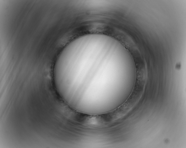 X0000103950755200809191440
