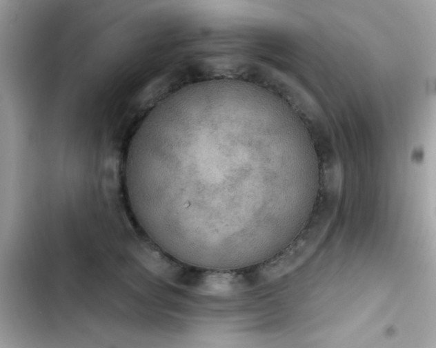 X0000103950757200809191440
