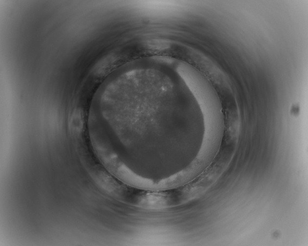 X0000103950758200809191440