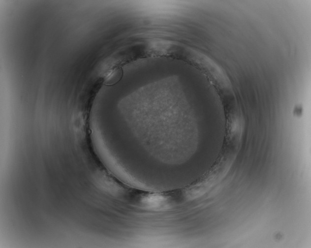 X0000103950759200809191440