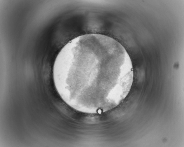 X0000103950760200809191440