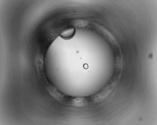 X0000103950761200809191440
